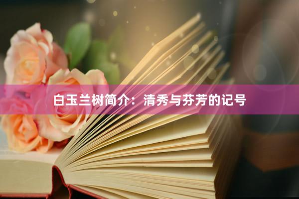 白玉兰树简介：清秀与芬芳的记号