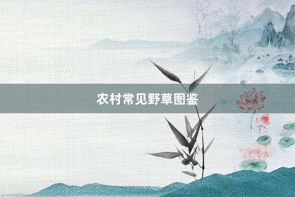 农村常见野草图鉴