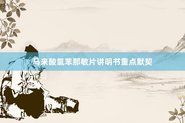 马来酸氯苯那敏片讲明书重点默契