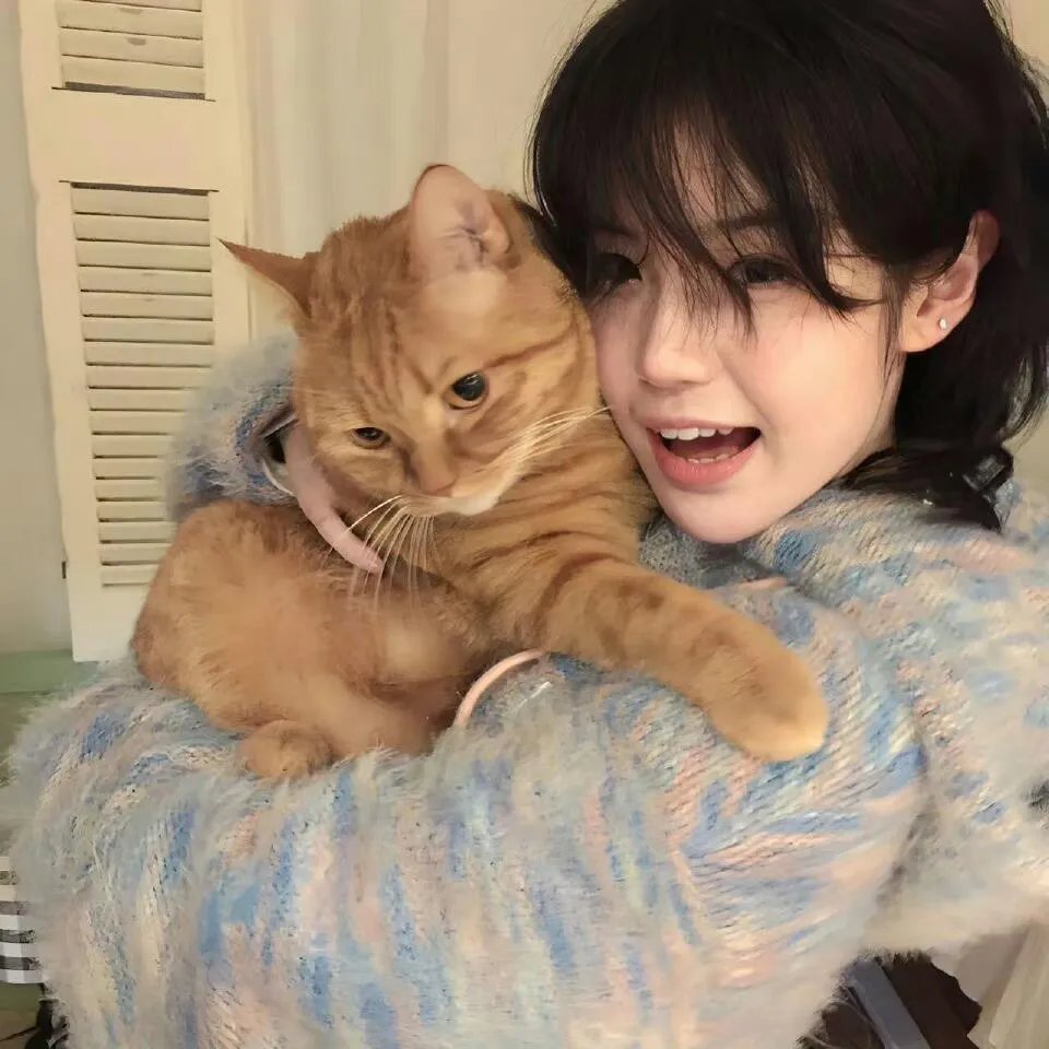 女神（2017年电影）